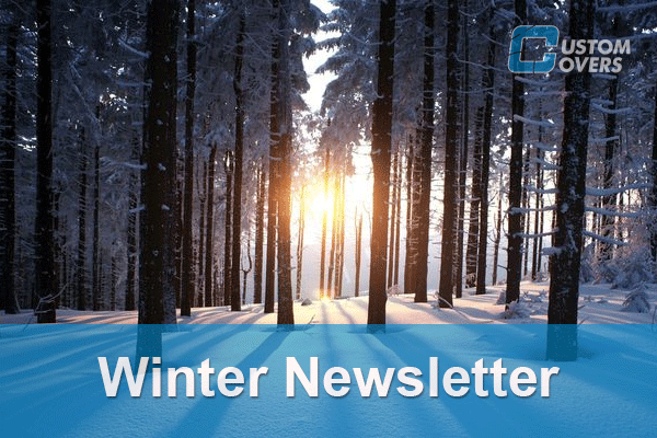 Winter-Newsletter-Icon